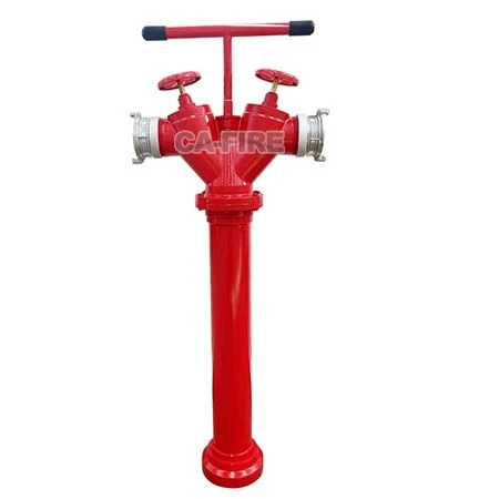 CA Wet Type Fire Hydrant factory