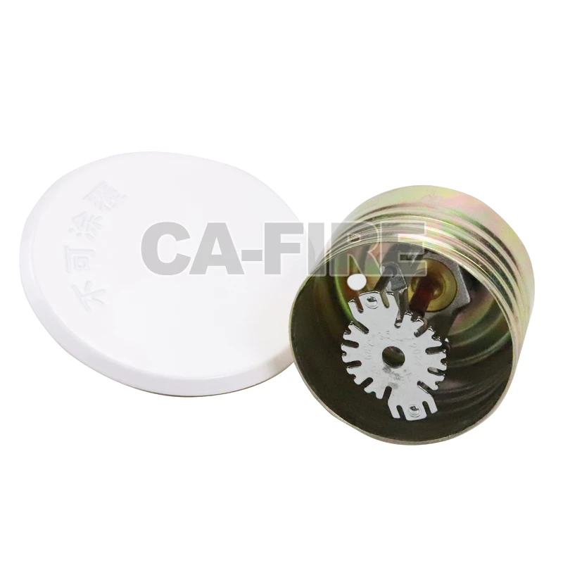 product-800-800
